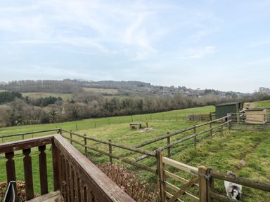 A fenced grassy field with a wooden gate and a shed with hills and trees in the background at The Willow Lodge near Lyme Regis