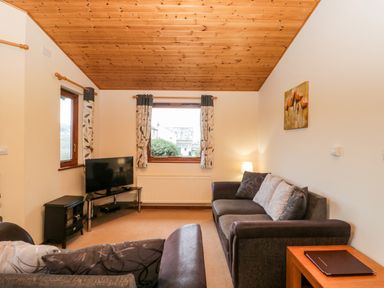 A living room with two sofas a television on a stand and a lamp at The Oak Lodge near Lyme Regis