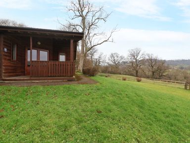 A wooden cabin with a small porch next to a grassy field and leafless trees at The Oak Lodge near Lyme Regis