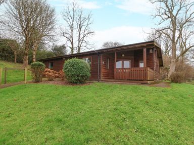 A wooden cabin with a covered porch and shrubs on a grassy lawn near trees at The Oak Lodge near Lyme Regis