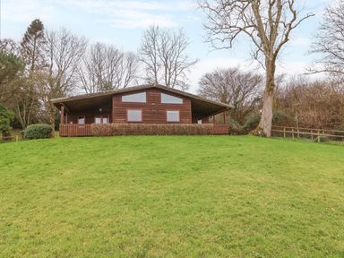 A wooden house with a covered porch on a grassy hill surrounded by trees at The Oak Lodge near Lyme Regis