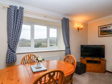 A dining area with a wooden table and chairs a vase with flowers on the table a television on a wooden stand and a window with curtains at The Hayloft Cottage Apartment near Lyme Regis