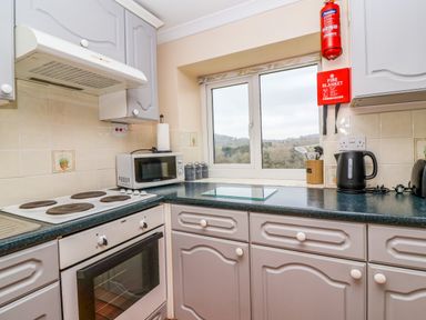 A kitchen with stove oven microwave kettle and window overlooking trees at The Hayloft Cottage Apartment near Lyme Regis