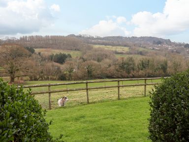 A grassy field with a small dog near a wooden fence and hills in the background at The Hayloft Cottage Apartment near Lyme Regis