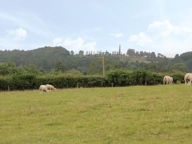 A grassy field with sheep grazing near bushes and trees in a rural landscape at Ty Cuddfan in Llangoed