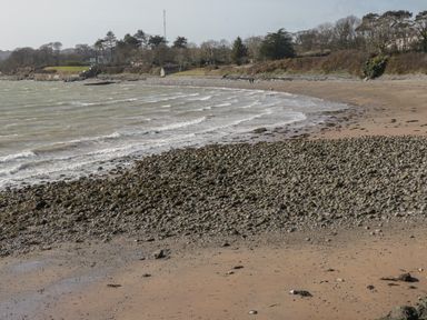 A coastal beach with waves and a mix of sand and rocks with trees and a grassy area in the background at Ty Cuddfan in Llangoed