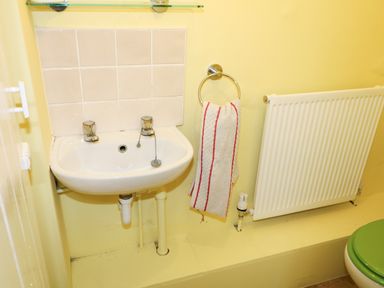 A small bathroom sink with towel ring and radiator with a green toilet seat at Carriguisnagh in Ballycastle