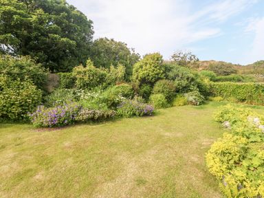 A garden with grass lawn and various green shrubs and flowering plants at Little Mead Trearddur Bay
