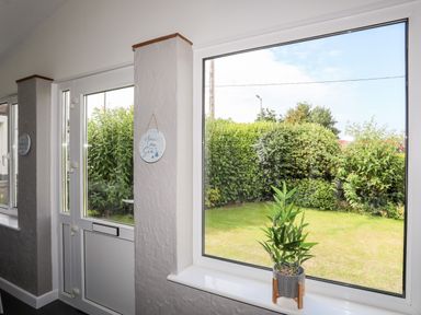 A window with a small potted plant on the sill and a door next to it overlooking a garden with bushes at Little Mead in Trearddur Bay
