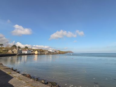 A coastal scene with houses along the shore and calm water under a clear sky at Awelfa Newport Pembrokeshire