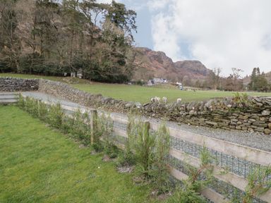 A grassy field with sheep behind a stone wall and wooden fence with small plants at Oak Tree Cottage in Coniston