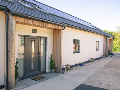 The exterior entrance of a building with a black door and two potted plants next to it at Swallows Dip in Honiton