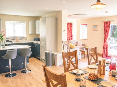 An open kitchen and dining area with wooden chairs and a table set with plates and glasses at Swallows Dip in Honiton