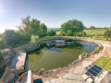 An outdoor garden area with a large pond surrounded by a wooden fence and trees and a patio with a table and chairs at Swallows Dip in Honiton