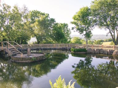 A pond with a wooden bridge a small island a picnic table and trees at Swallows Dip in Honiton