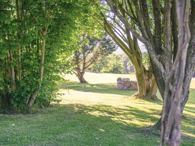 A grassy outdoor area with multiple trees and a stone structure at Swallows Dip in Honiton