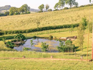 A pond with surrounding plants and trees in a grassy field with hills and trees in the background at Swallows Dip in Honiton