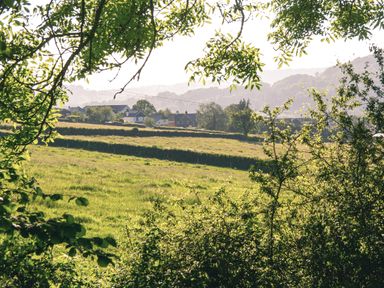 A view of fields and houses through tree branches at Swallows Dip in Honiton