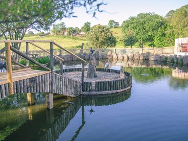 A wooden bridge over a pond with a circular island containing statues and a bird at Swallows Dip in Honiton
