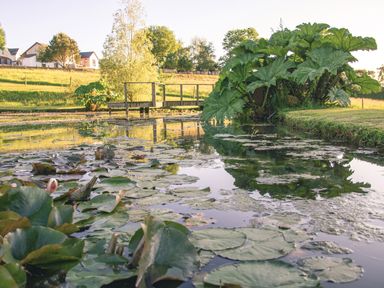 A pond with lily pads and a wooden footbridge near houses in a grassy area at Swallows Dip in Honiton