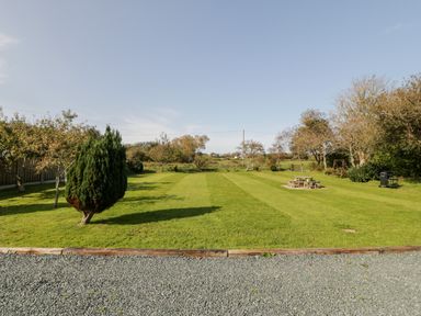 A large lawn with a tree on the left a picnic table in the middle and a grill on the right at Penllyn in Newborough