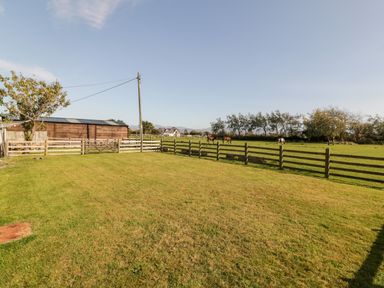 A fenced grassy yard with a wooden shed a tree and horses grazing in a field at Penllyn in Newborough