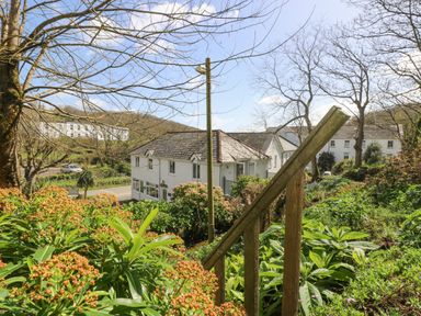 A garden with bushes and plants wooden railing and white buildings in the background at Longships in Porthcurno
