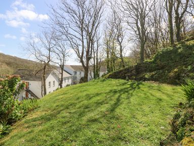 A grassy garden area with leafless trees and white buildings in the background at Longships in Porthcurno