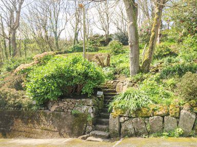 Stone steps surrounded by green plants and trees in a garden area at Longships in Porthcurno