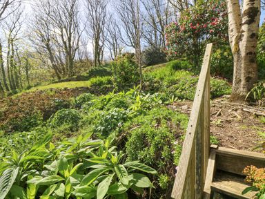 An outdoor garden area with various green plants shrubs and trees with a wooden handrail at Longships in Porthcurno
