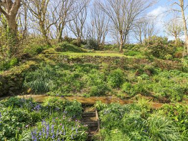 A garden with plants flowers and stone terraces with trees in the background at Longships in Porthcurno