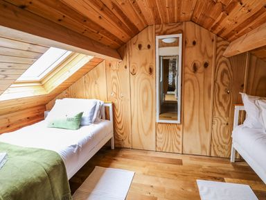 A bedroom with two single beds a wall mirror and a skylight window at Pant Y Rhedyn in Abbeycwmhir near Rhayader
