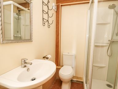 A small bathroom with a sink a toilet a shower enclosure and a wall-mounted mirror at Pant Y Rhedyn in Abbeycwmhir near Rhayader