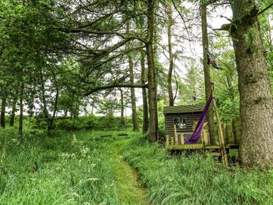 A grassy wooded area with a small wooden cabin and swings on trees at Pant Y Rhedyn in Abbeycwmhir near Rhayader