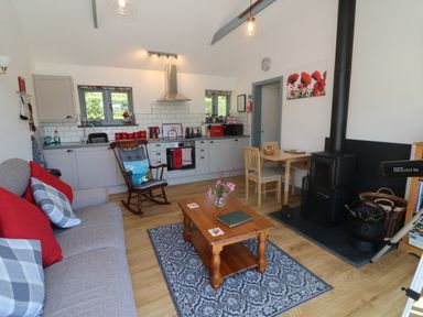 A living area with a grey sofa and red pillows a wooden rocking chair a wooden coffee table on a patterned rug a small dining table and chairs a kitchen with grey cabinets and appliances and a black wood stove at Higher Bumsley Barn in Parracombe