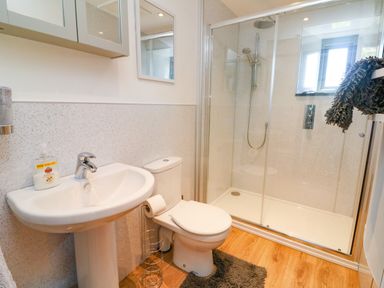 A bathroom with a sink and hand soap a toilet with toilet paper and a glass shower enclosure at Higher Bumsley Barn in Parracombe