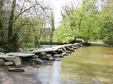 A stone ford crossing a shallow river surrounded by trees and greenery at Higher Bumsley Barn Parracombe
