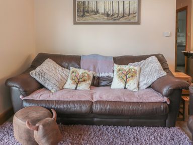 A brown leather sofa with patterned cushions and a throw blanket in a living room at Treetops in Otterburn