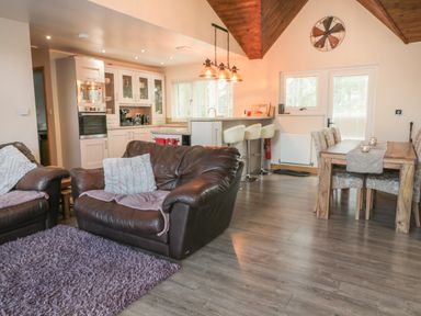 An open-plan living room with brown leather sofas and a purple rug next to a kitchen with white cabinets and a dining area with a wooden table and chairs at Treetops in Otterburn