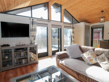 A living room with a brown sofa and throw pillows a glass coffee table and a television on a cabinet at Pine Tree in Otterburn