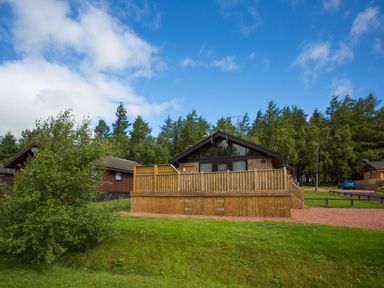 A wooden cabin with a fenced deck surrounded by grass and trees at Pine Tree in Otterburn