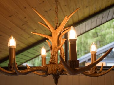 A chandelier made of antlers with light bulbs hanging from a wooden ceiling at Pine Tree in Otterburn