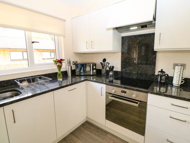 A kitchen with white cabinets black countertops a microwave a built-in oven a stovetop and a window with flowers on the counter at Broken-Sky Lodge in Otterburn