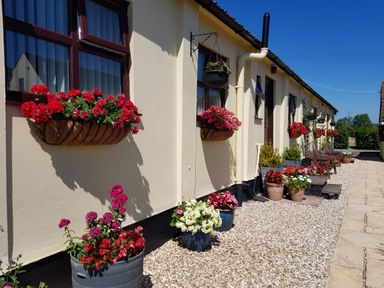 An exterior view of a building with flower pots and hanging baskets along the wall at Broadclyst Cottage in Ottery St Mary