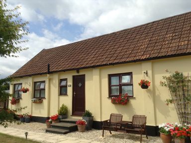 A yellow cottage with brown tiled roof flower pots and hanging baskets outside Broadclyst Cottage in Ottery St Mary