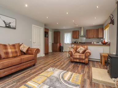 An open plan living room and kitchen with brown sofas wooden cabinets and a patterned rug at Park Brook Dell in Scorton