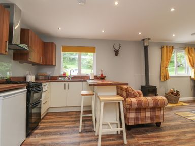 A kitchen and living area with wooden cabinets stools a plaid sofa wood burning stove and windows with yellow curtains at Park Brook Dell in Scorton