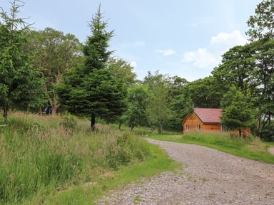 A gravel path leading to a small wooden house surrounded by trees and grass at Park Brook Dell in Scorton