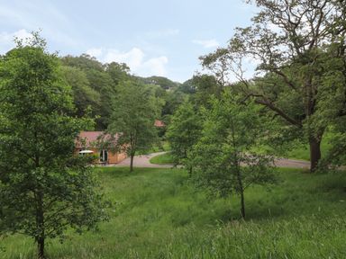 A small wooden house among trees and grass with a gravel path at Park Brook Dell in Scorton