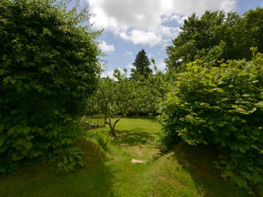 A grassy garden area with trees and shrubs under a partly cloudy sky at Cholwell Barn Apartment in Mary Tavy
